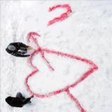 Download How much do you Love Cell Phone Software